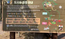 Featured image of post 済州島、心癒される森の道へ：水岳オルムとモチェワッの秘密 🌿