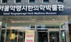 Featured image of post ソウル薬令市韓医学博物館：五感で巡る、韓国伝統医療の魅力と癒し体験🌿