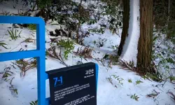 Featured image of post 済州島西帰浦の高根山（コグンサン）で心身を癒すハイエンドトレッキング｜K-Life Hack