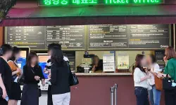 Featured image of post 2026年ソウル、夜の王宮を彩る光の祭典。昌慶宮'水光蓮花'完全ガイド