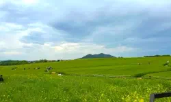 Featured image of post 高敞（コチャン）下田しじみ・あさり五感体験祭り：ユネスコ遺産の干潟で楽しむ洗練された旅