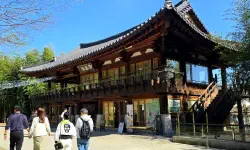 Featured image of post 竹林の静寂と美食の極致。ディレクターKが贈る、潭陽（タミャン）ハイエンド・トラベルガイド