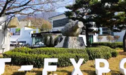 Featured image of post 智異山の静寂を味わう：河東（ハドン）野生茶博物館で体験する韓国最高級のお茶文化ガイド