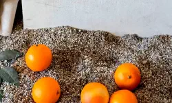 Featured image of post 永宗島「바다앞테라스」：絶景と非日常を楽しむ韓国オーシャンビューカフェ