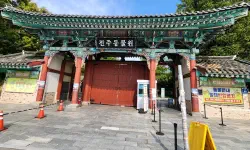 Featured image of post 2026年度 全州動物園 ＆ ドリームランド完全攻略：桜とレトロ遊園地の旅