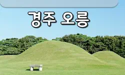 Featured image of post 慶州オヌン（五陵）の静寂と白木蓮｜新羅の始まりを歩く、究極のヒーリングガイド