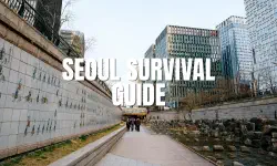 Featured image of post 江南・新沙洞の洗練をスマートに、カカオT（Kakao T）で極める都市移動の最適解