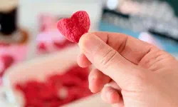 Featured image of post 韓国限定・世界初の上陸。メガボックスとGSザ・フレッシュで出会う「プリングルズ・ハート・ミニ・ローズ」の誘惑