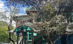 Featured image of post 順天の深い森に隠れた美食の聖地、松峙村(ソンチマウル)が贈るノスタルジックな休日