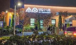 Featured image of post 水原の夜を彩る幻想的な光のシンフォニー「日月植物園」ナイトガーデン完全ガイド