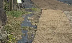 Featured image of post 春川のアルプス、ハッピーチョウォン牧場で出逢う極上のパノラマ